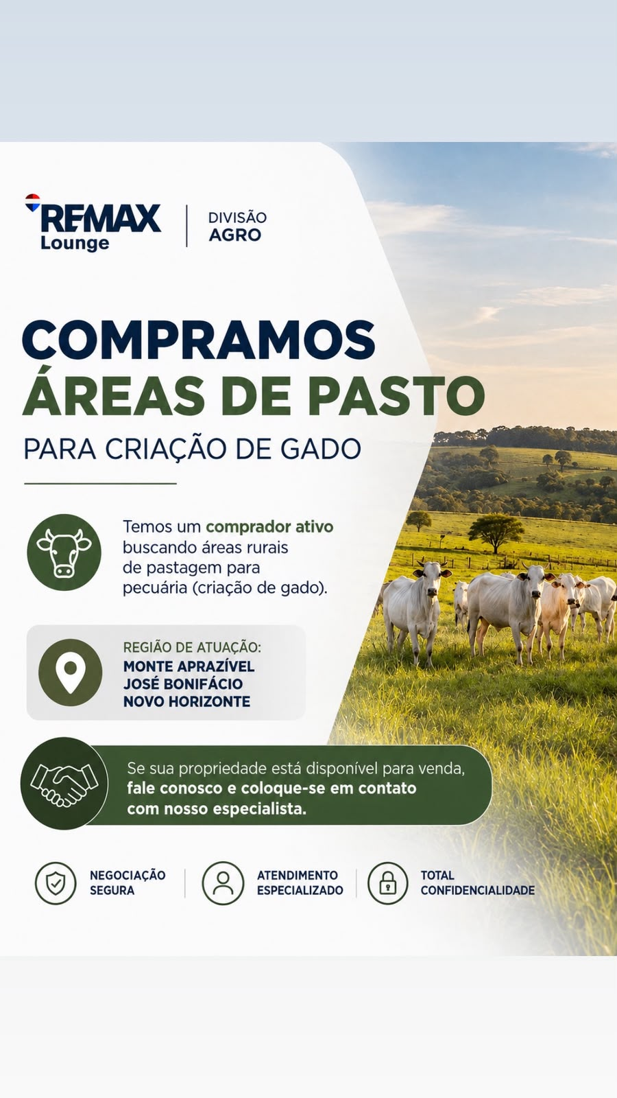 Compramos áreas de pasto para criação de gado - RE/MAX Lounge Divisão Agro