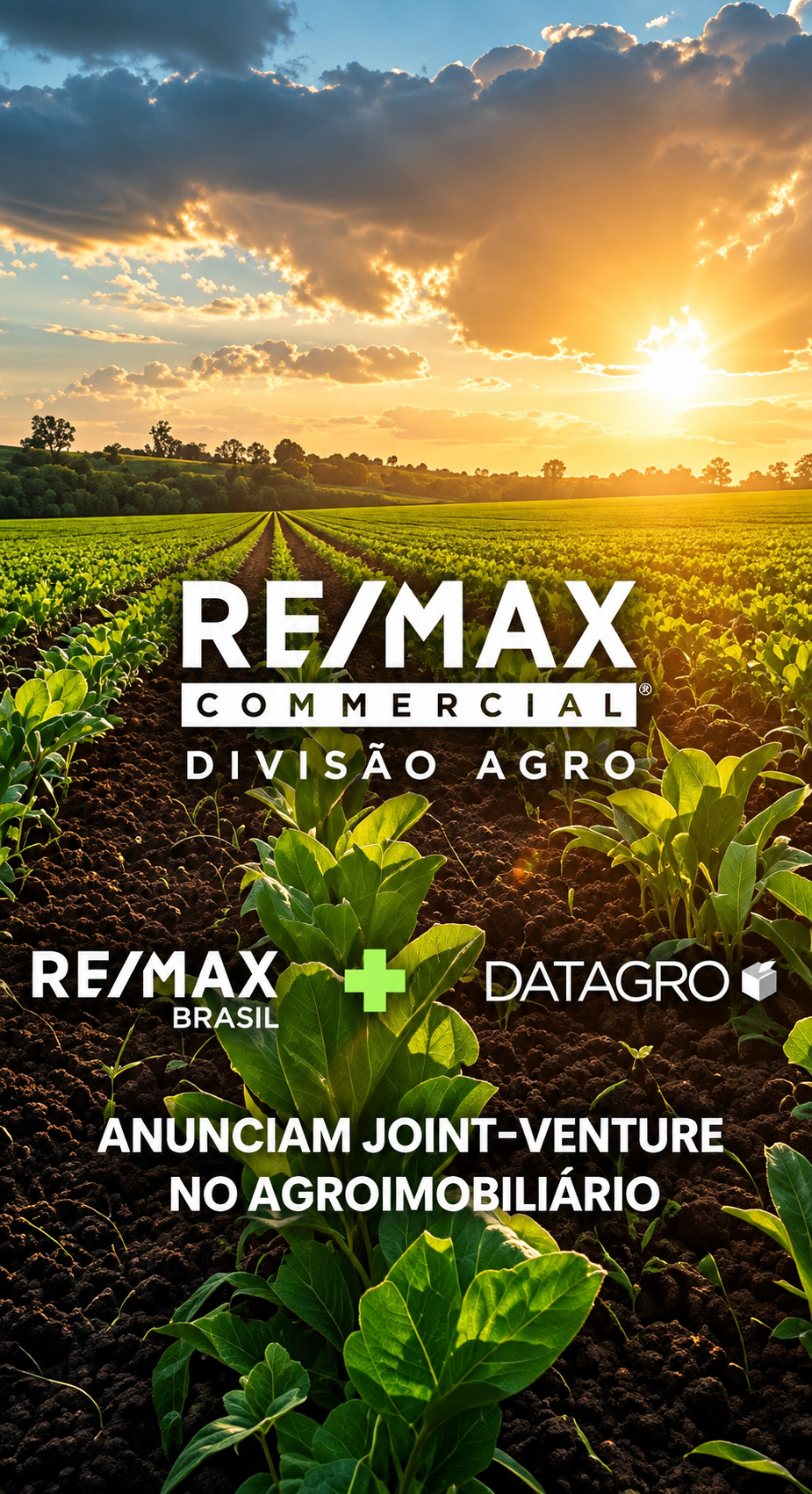 RE/MAX Brasil + DATAGRO anunciam joint-venture no agroimobiliário